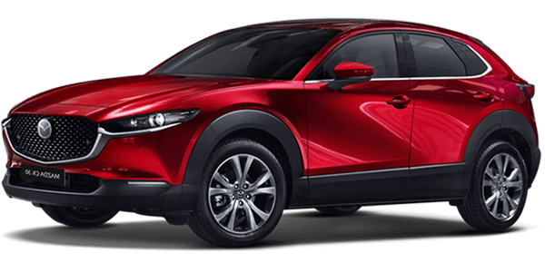 Read more about the article Mazda CX30
