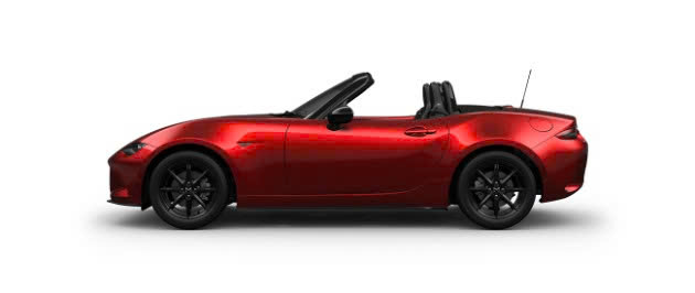 z7999529919449_e449ebc1d19d66dad299d67e5b9c364d